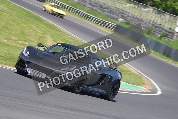 Lotus 2331
