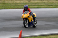 Fowlers 0741