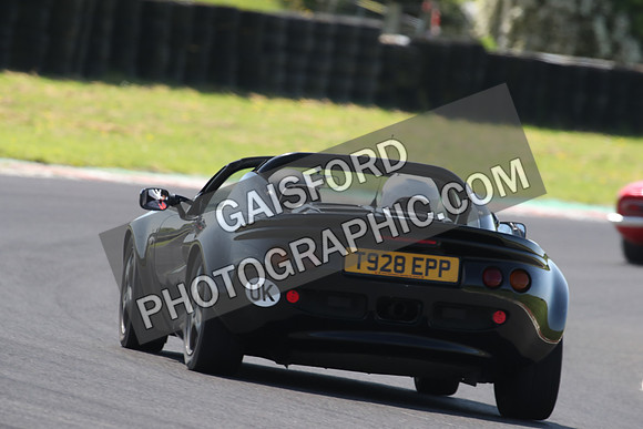 Lotus 0607