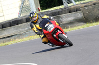 Fowlers 0622