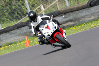 Fowlers 0617