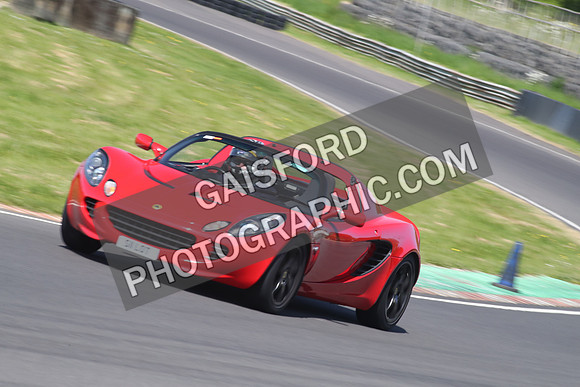 Lotus 2337