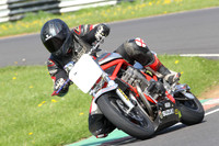 Fowlers 0408