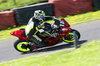 Fowlers 0908