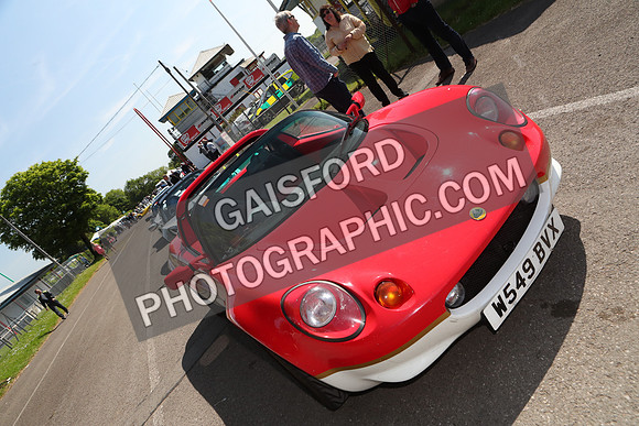 Lotus 1731