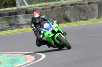 Fowlers 0387