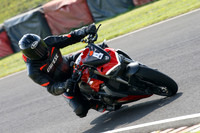 Fowlers 1000