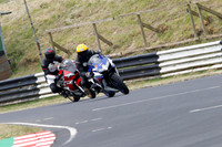Fowlers 0235