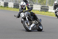 Fowlers 0684