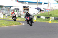 Fowlers 0269