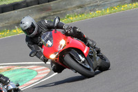 Fowlers 0592