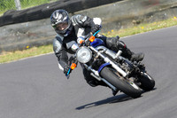 Fowlers 0993