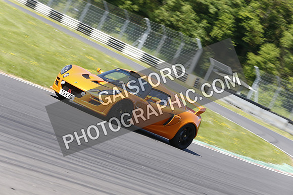 Lotus 0856