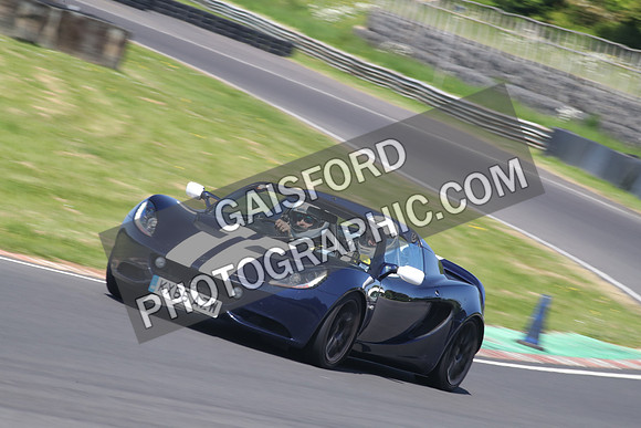 Lotus 2338
