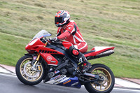 Fowlers 0799
