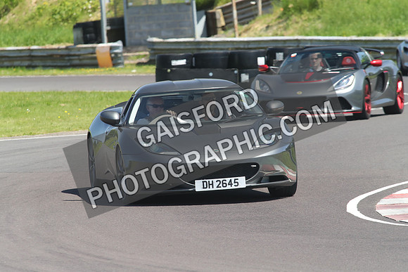Lotus 1023
