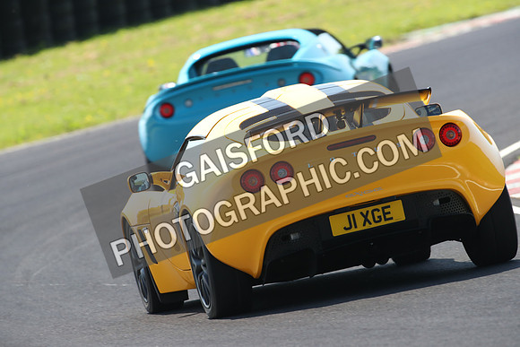Lotus 0732