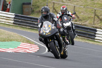 Suzuki bumblebee