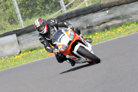 Fowlers 0807