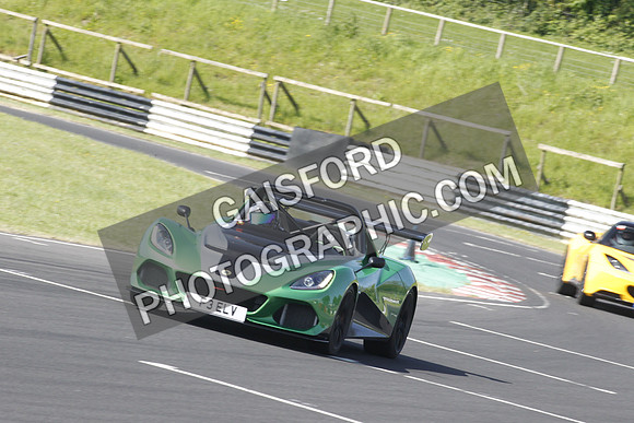 Lotus 0358