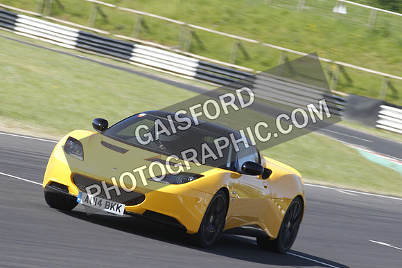 Lotus 0337