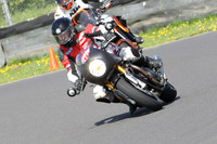 Fowlers 0799