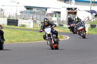 Fowlers 0267