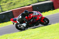 Fowlers 0976