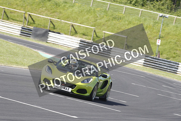 Lotus 0345