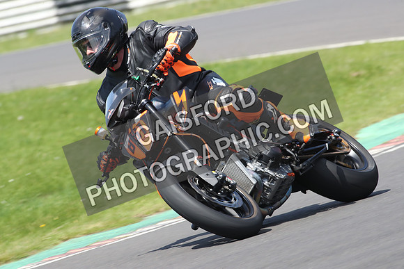 BIKES 1008