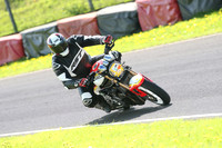 Fowlers 0892