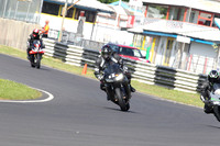 Fowlers 0124