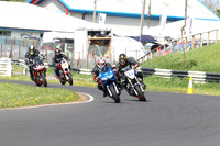 Fowlers 0265
