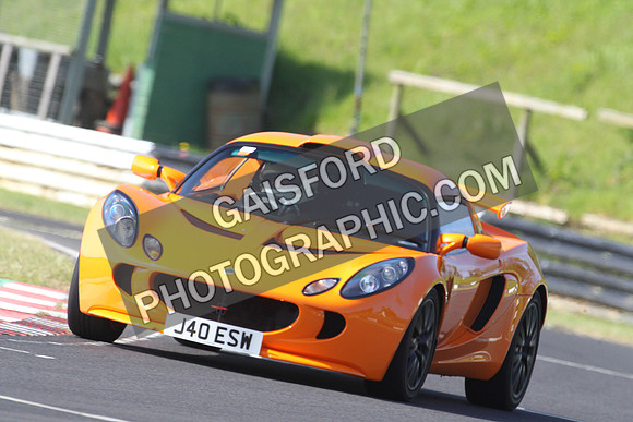 Lotus 0185