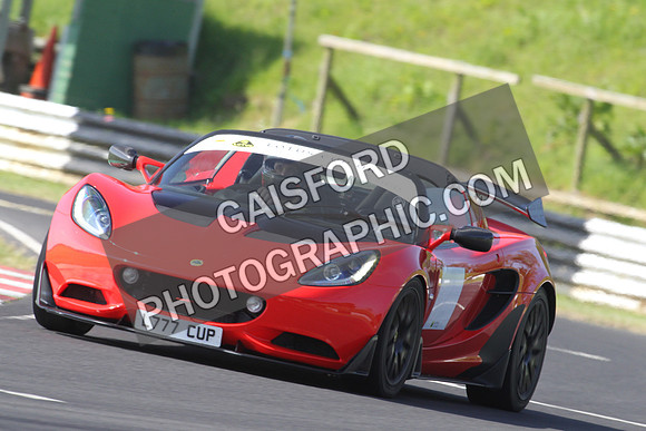 Lotus 0277