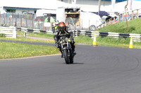 Fowlers 0274