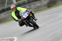 Fowlers 0458