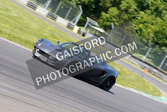 Lotus 0767