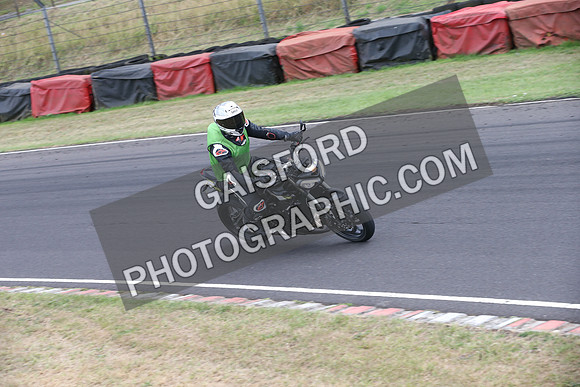 BIKES 1241