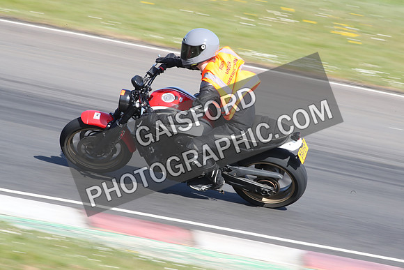 BIKES 2135