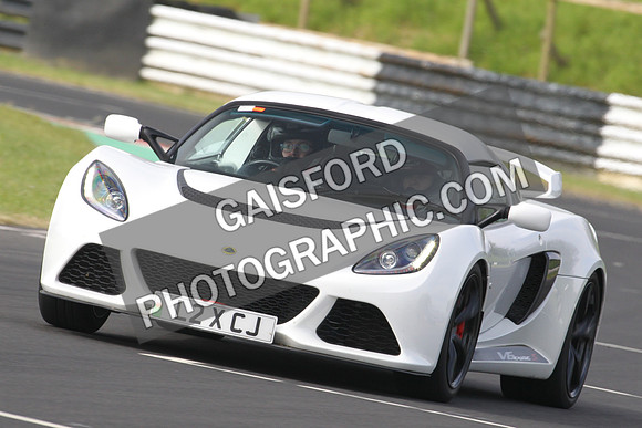 Lotus 0013