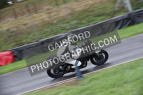 BIKES 0319