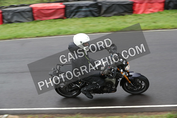 BIKES 0241