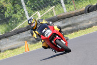 Fowlers 0592