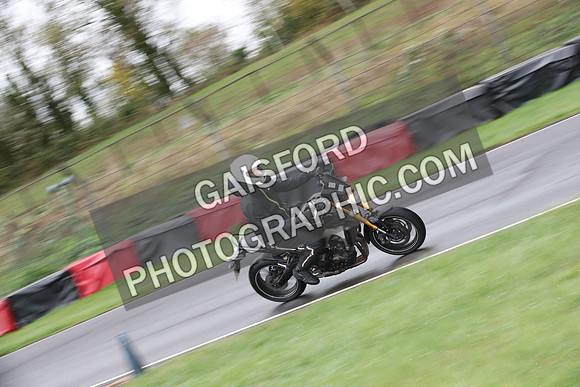 BIKES 0295