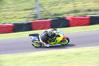 Fowlers 0339