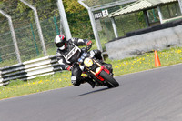 Fowlers 0460