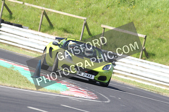Lotus 0396