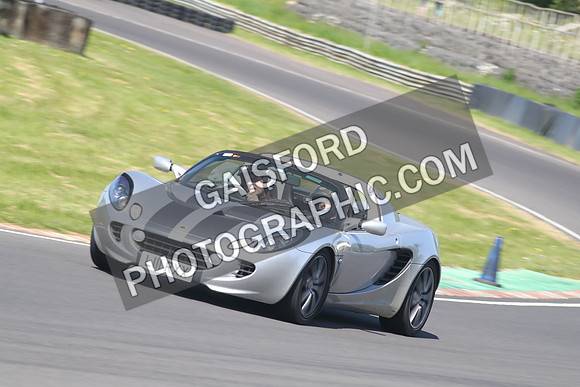 Lotus 2458