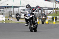 Fowlers 0574